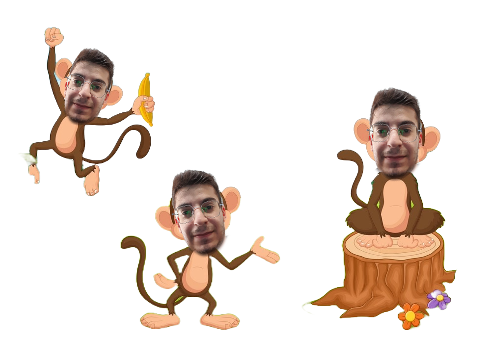 Monkey Image